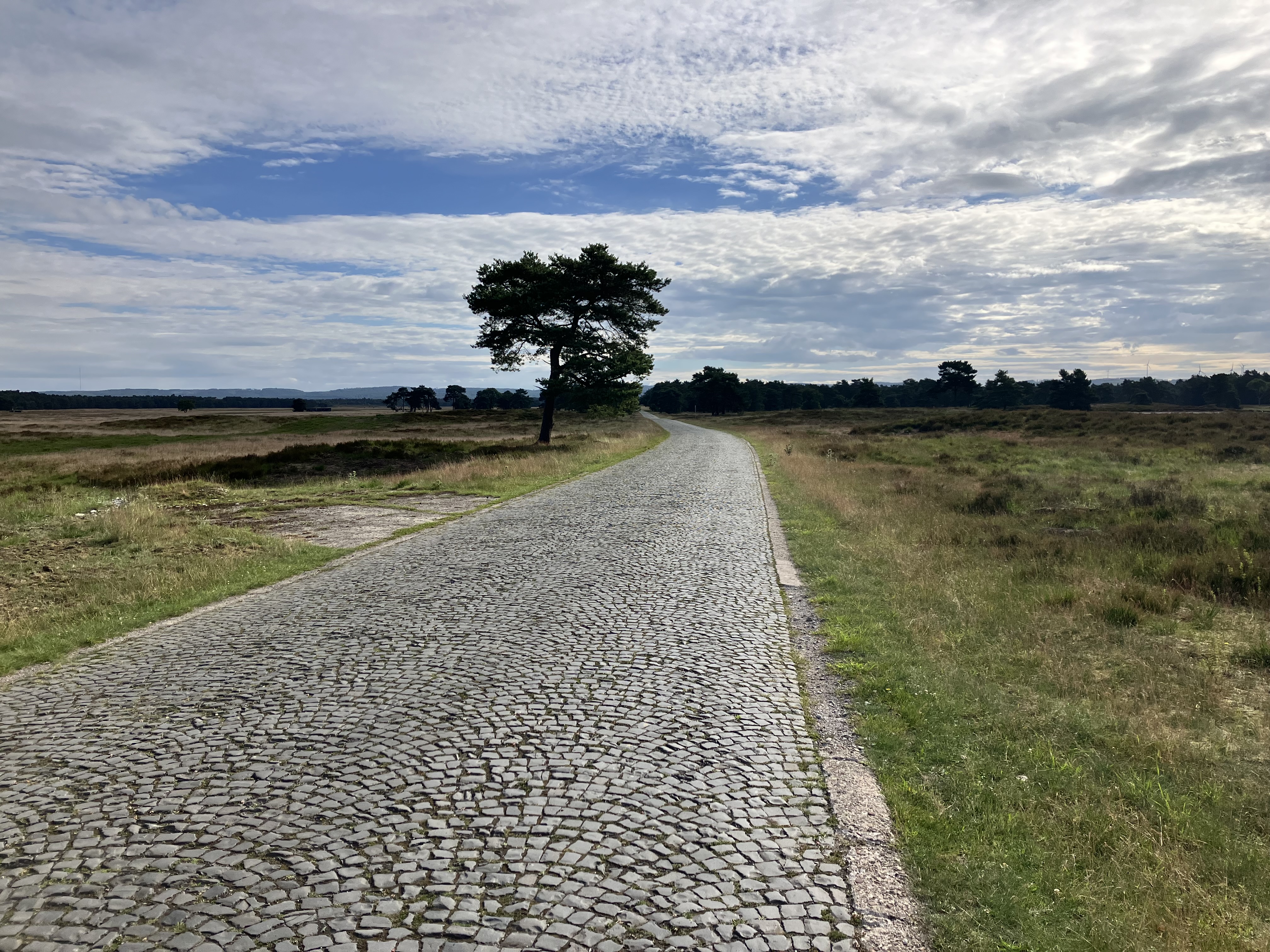 The European Divide Trail: Pristine gravel and forests in Germany